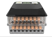 Petit incubateur populaire 128 d'oeufs Mini incubateur de volaille à usage familial portable en Europe et aux États-Unis