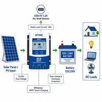 Controlador de Carga Solar 12/24V Automático 30A con Salida USB 1.2A, Pantalla LCD, Compensación de Temperatura y Bajo Consumo en Espera para Sistemas Solares