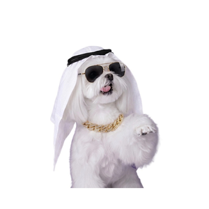 Conjunto de Disfraz para Mascotas, Diadema Blanca, Gafas de Sol, Collar, Traje para Perro o Gato, Estilo Árabe, Vestido de Fiesta - Product Image 1