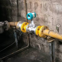 Flow Meter Tipe Vortex Proses Gas Alam dengan Kompensasi T&P untuk Proyek Pipa Pengukuran LPG Flow Meter Putar