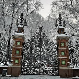 ให้คูปองเงินสดมูลค่า 500 ดอลลาร์สำหรับประตูรั้วเหล็กดัด - Product Image 4