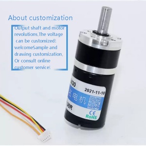 Motor Eléctrico de CC 12V 24V 25mm 2430 21KG con Reducción Planetaria, Sin Escobillas, Gran Torque, Larga Vida Útil - Product Image 6