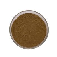 Extrait d'Isatis Indigotica 10:1 Feuille d'Isatidis TLC Stimulant Immunitaire Naturel Antiviral Soutien Respiratoire OEM