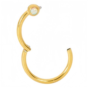 Anneau de nez en acier inoxydable avec serti à bille, style européen, bijou de piercing rond - Product Image 2