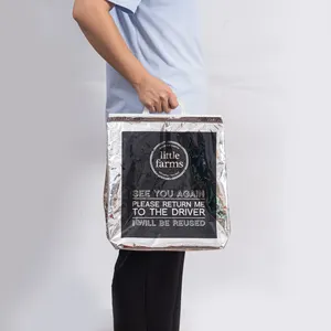 Экологически Чистая Алюминиевая фольга Изолированная доставка вина еда термо-ланч-молния кулер сумки
