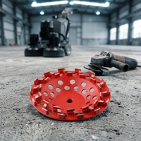Disco de Diamante Escalonado PanGu CW-14Z10 PG de 180 mm (7 Pulgadas) con 14 Segmentos, Abrasivo Fino con Unión Metálica para Superficies de Concreto