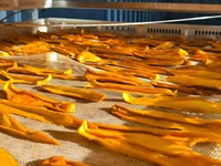 Natuurlijk zoete gevriesdroogde mangoschijfjes OEM ondersteund door Chinese fabrikant groothandel bulk verpakking vacuüm verpakt
