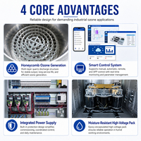 300g 200g 500g PLC ozongenerator voor ziekenhuisafvalwaterdesinfectie, industriële afvalwaterzuivering en sterilisatie