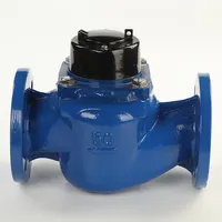 Télécommande filaire Woltman DN50 à DN600 Compteur d'eau prépayé IP68 Classe de protection OEM Personnalisable