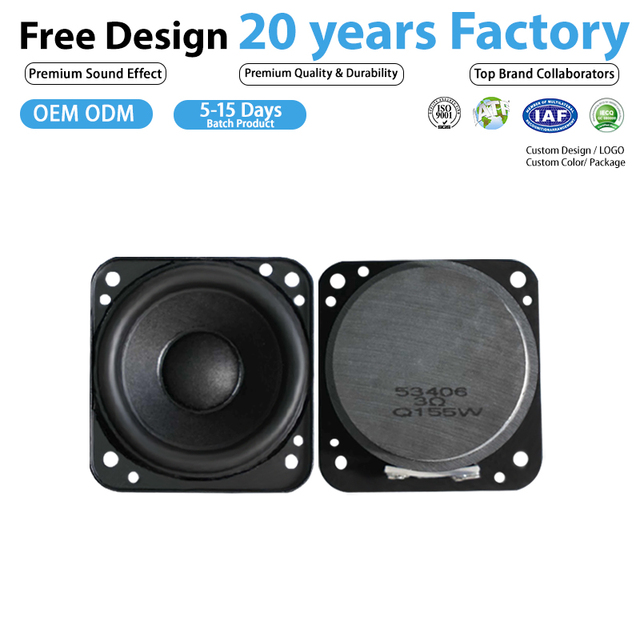 High Quality 2 Inch Full Range Micro Loudspeaker Accessories for Professional and OEM ODM Audio