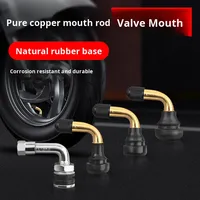 Vacuum Tire Inflator Model QZ-105 for Motorcycle/Electric Car/Electric Bike with Tubeless Valve Rubber Anti-Leak Design
