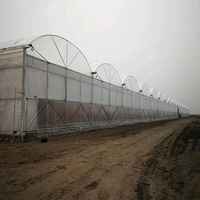 Serre tunnel multi-travées en film plastique, système hydroponique prêt à l'emploi, pour la culture agricole de tomates, laitues et concombres