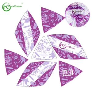 Pallone da Calcio Zhensheng di Alta Qualità, Nuovo Design alla Moda, Personalizzabile con Logo, per Partite di Futsal - Product Image 4