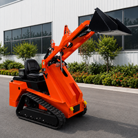 Mini-chargeuse sur pneus, mini-chargeuse-pelleteuse, mini-chargeuse diesel neuve