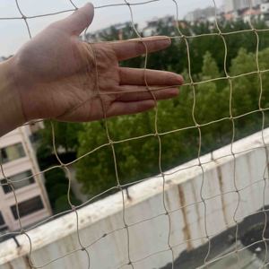 Vente chaude Durable Beige Nylon HDPE PE avec Fil En Acier Inoxydable Chat <span class=keywords><strong>Cage</strong></span> Filet Anti Chat Out Net Chat Balcon Net - Product Image 2
