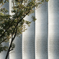 Revêtement de façade en panneaux d'aluminium perforés, découpe laser, revêtement poudré, ignifuge classe A, pour murs extérieurs commerciaux, design extérieur
