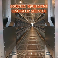 Solution complète de conception et d'installation de cages à poules pondeuses de type H pour usage commercial
