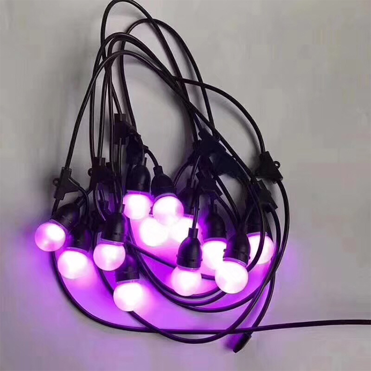 led light 30 ft ver salver 220 wat