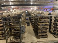 Vente Flash : Cage à Cailles en Métal Galvanisé de Haute Qualité avec Alimentation Semi-Automatique et Plateau de Collecte des Œufs pour Élevage Avicole HJ-QC400A