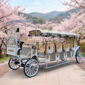 Chariot Électrique Romantique en Forme de Cheval pour Visites Touristiques, Occasions Spéciales et Mariages – Prix de Gros – En Promotion - Product Image 1