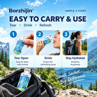 Borzhijin Vloeibare Elektrolyten Hydratatie Sachet Klaar om te Drinken Suiker Vrij Sportvoeding Workout Herstel Onderweg OEM
