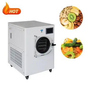 Low Temperature Mini Factory Price Lab Vacuum Freeze Dryer