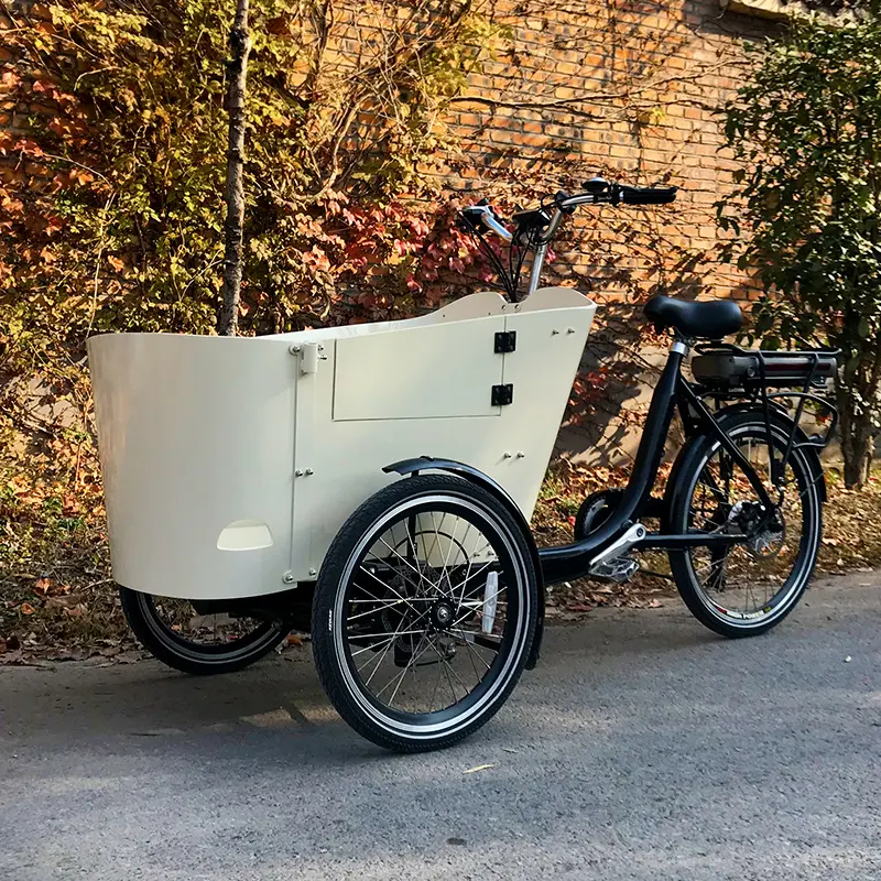 Электрический грузовой велосипед CE Лучшая цена Holland bakfiets 3 колеса педали мотоцикла/трехколесный грузовой погрузчик перевозка грузов ребёнка Ройяла с боковой двери