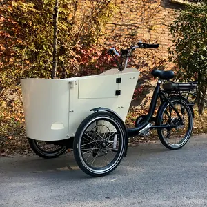 จักรยานไฟฟ้า CE ราคาที่ดีที่สุดฮอลแลนด์ Bakfiets 3ล้อเหยียบรถจักรยานยนต์/รถสามล้อสำหรับสินค้าจักรยานที่มีประตูด้านข้าง