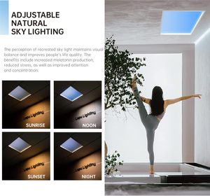 Plafonnier LED d'intérieur BBIER, lumière artificielle simulant le lever du soleil/<span class=keywords><strong>midi</strong></span>/coucher du soleil/nuit, construction métallique pour éclairage - Product Image 2