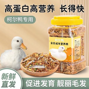 Aliment de démarrage équilibré Crown Asia pour poussins et oisillons avec vers de farine et poisson séché pour oiseaux toutes saisons - Product Image 2