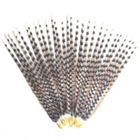 Plumes artificielles de faisan Reeves 40-150 cm - Couleurs et tailles personnalisées pour costumes de carnaval, coiffes et décorations de fête