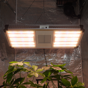 Lampe de culture supplémentaire Samsung Lm301h EVO à LED à haut PPFD pour la culture de tomates en serre - Product Image 5