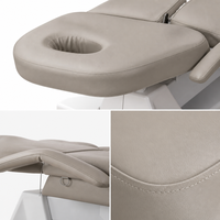 Cama de Belleza Eléctrica de 3 Motores, Compacta, con Reposabrazos Abatibles, Ahorra Espacio, Altura Ajustable, para Microblading, Tatuajes, Pestañas, Estudio, Salón, Spa