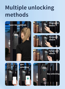 <span class=keywords><strong>Serrure</strong></span> de porte électrique à reconnaissance faciale TYSH, <span class=keywords><strong>serrure</strong></span> à code, porte extérieure, étanche, empreinte digitale, <span class=keywords><strong>serrure</strong></span> de porte intelligente à empreinte digitale numérique - Product Image 2