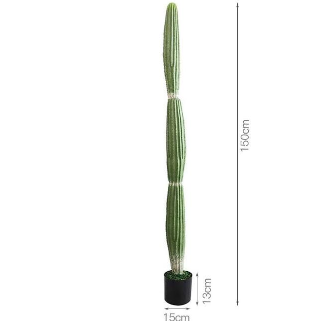 Cactus Monkeytail - Modèle D