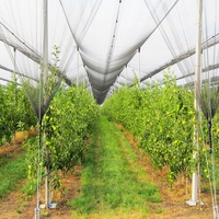 Filet anti-grêle en HDPE blanc anti-UV pour l'agriculture / Filet anti-gel pour jardin potager, protection des plantes agricoles et des bassins