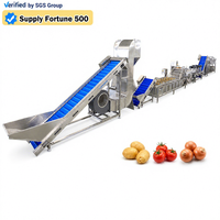 Ligne de production automatique haute efficacité pour le lavage, la découpe et l'essorage des fruits, légumes et légumes-feuilles, avec mélangeur et friteuse