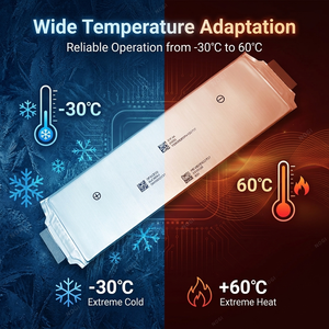 SK 60.3Ah 3.7V NMC 袋式电池 A级原装全新锂离子动力电池 - Product Image 6