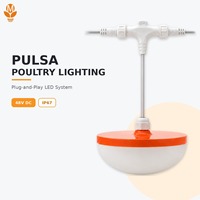 Lampu LED Unggas 48V DC Konektor Cepat IP67 Tahan Air Dapat Diredupkan Umur Panjang 50000 Jam Plug and Play Penerangan Kandang Unggas