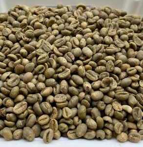 เมล็ดกาแฟอาราบิก้าคาติมอร์ S16+ พรีเมียมชนิดพิเศษ กระบวนการธรรมชาติ รสชาติกลมกล่อม ติดตามแหล่งกำเนิดได้ ผลิตจากเวียดนาม - Product Image 1