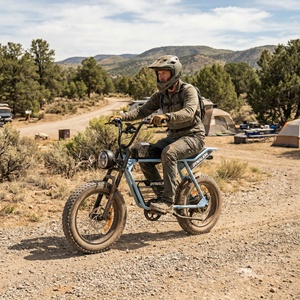 Vélo électrique rétro pratique à gros pneus avec écran LCD et transmission à 7 vitesses, cruiser utilitaire pour les courses quotidiennes dans le quartier - Product Image 4