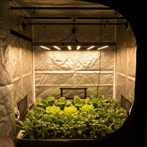 Luces LED para Cultivo de Plantas Idea Coverage de 5x5 Pies - Product Image 1