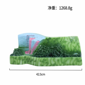 מודל טקטוני עלים מדויקים לביולוגיה ושיעורים רפואיים מודל עלה ביולוגי מורכב למחקר מבני מוגבר - Product Image 6