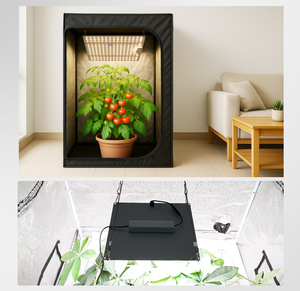 Panel <span class=keywords><strong>de</strong></span> Luz <span class=keywords><strong>de</strong></span> Cultivo <span class=keywords><strong>de</strong></span> Alto PPFD, Espectro Completo LED, 150W, Quantum Board para Cultivo <span class=keywords><strong>Vertical</strong></span> Comercial <span class=keywords><strong>de</strong></span> Lechuga y Fresas - Product Image 5
