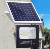 Projecteur LED solaire en aluminium à succès, différentes puissances au choix, lampes de jardin solaires, projecteur extérieur