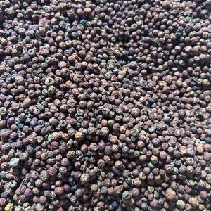 Fruta <span class=keywords><strong>Taxus</strong></span> seca Premium en Bolsa-Producto alimenticio y bebida - Product Image 6