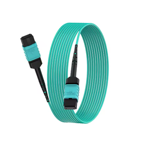 Multimode סיבים משוריין סיב אופטי jumper Om3/om4 MPO-MPO/lc 40 גרם/100g לילך חומר סיב אופטי אורך מרכז הנתונים להתאמה אישית - Product Image 3