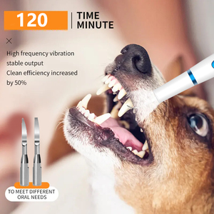 Şarj edilebilir elektrikli ultrasonik diş diş temizleyici ölçekleyici kiti çok amaçlı diş beyazlatma aksesuarları Pet köpekler için - Product Image 4