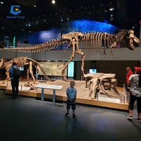 Fabricant de squelettes de dinosaures de Zigong, squelette de dinosaure mural