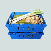 Duohui Plastic Fruit- en Groente Sorteermanden Verdikte Uitgeholde Blauwe Transportmanden China